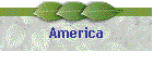 America