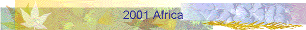 2001 Africa