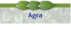 Agra