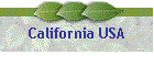 California USA