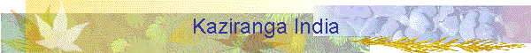 Kaziranga India