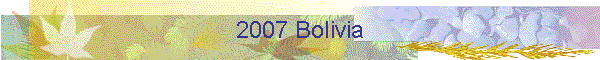 2007 Bolivia
