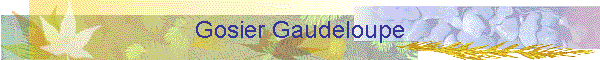 Gosier Gaudeloupe