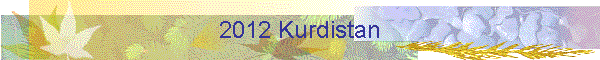2012 Kurdistan