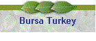 Bursa Turkey