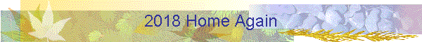 2018 Home Again