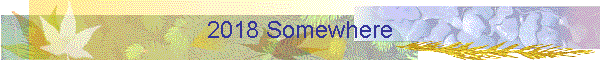 2018 Somewhere