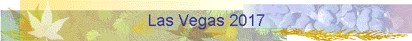 Las Vegas 2017