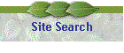 Site Search