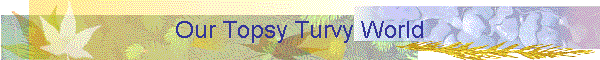 Our Topsy Turvy World