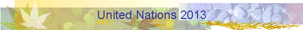 United Nations 2013