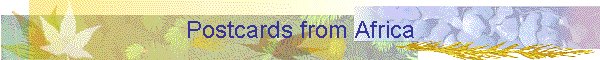 Postcards from Africa