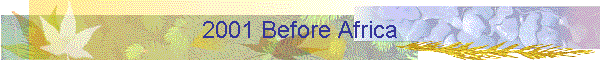 2001 Before Africa