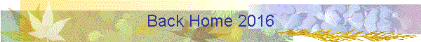 Back Home 2016