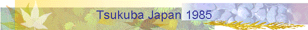 Tsukuba Japan 1985