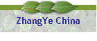 ZhangYe China