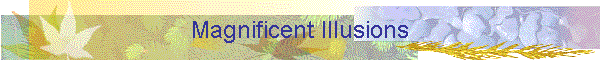 Magnificent Illusions