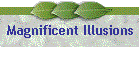 Magnificent Illusions
