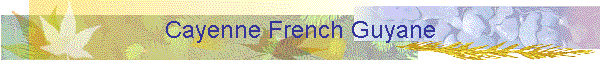 Cayenne French Guyane