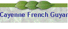 Cayenne French Guyane