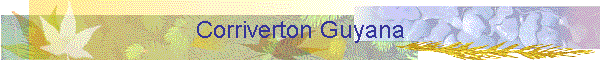 Corriverton Guyana