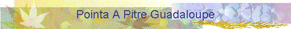 Pointa A Pitre Guadaloupe