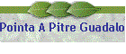 Pointa A Pitre Guadaloupe
