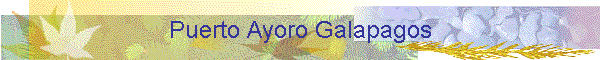 Puerto Ayoro Galapagos