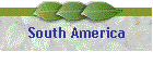 South America