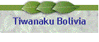 Tiwanaku Bolivia