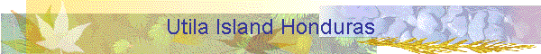 Utila Island Honduras