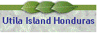Utila Island Honduras