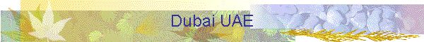 Dubai UAE