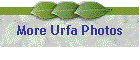 More Urfa Photos