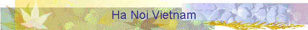 Ha Noi Vietnam